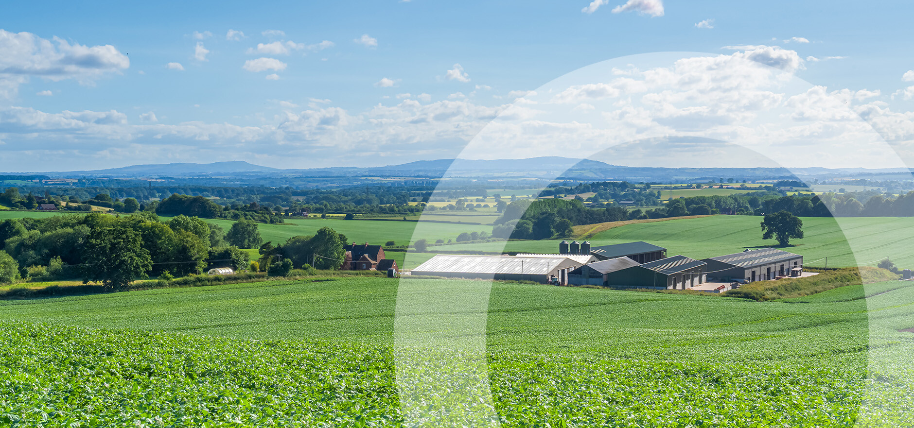 Preserving legacy: advising on the succession of the family farm