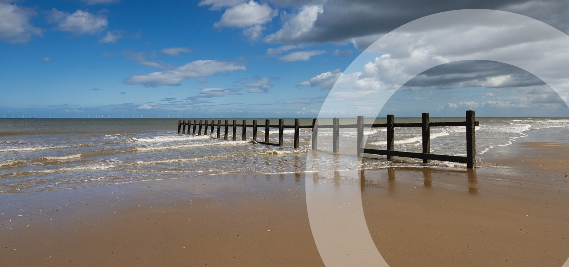 Rogue Executors and Administrators: When Wills and the Rules of Intestacy are ignored