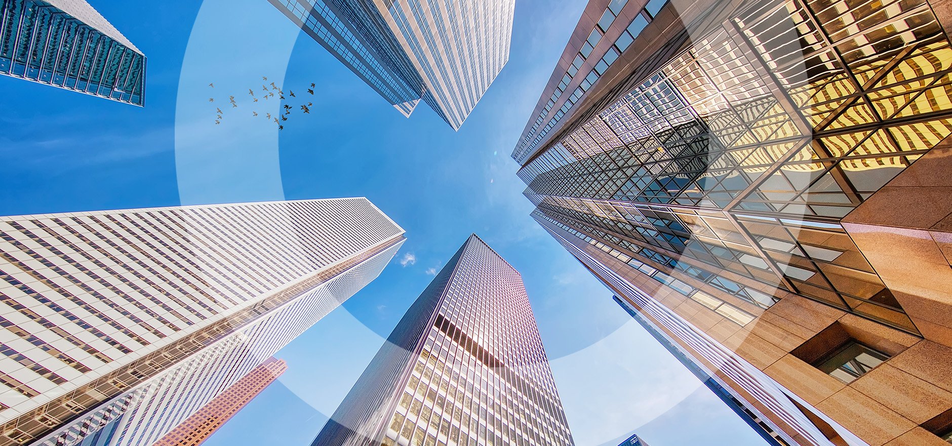 Non-Competes in Business Sales: A Clear Signal from Spill Bidco Ltd v Wishart [2025]