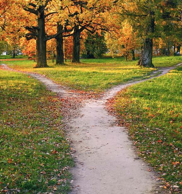 Family Law Divorce and Separation-resized