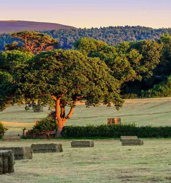 Rural Business, Land & Agriculture-resized