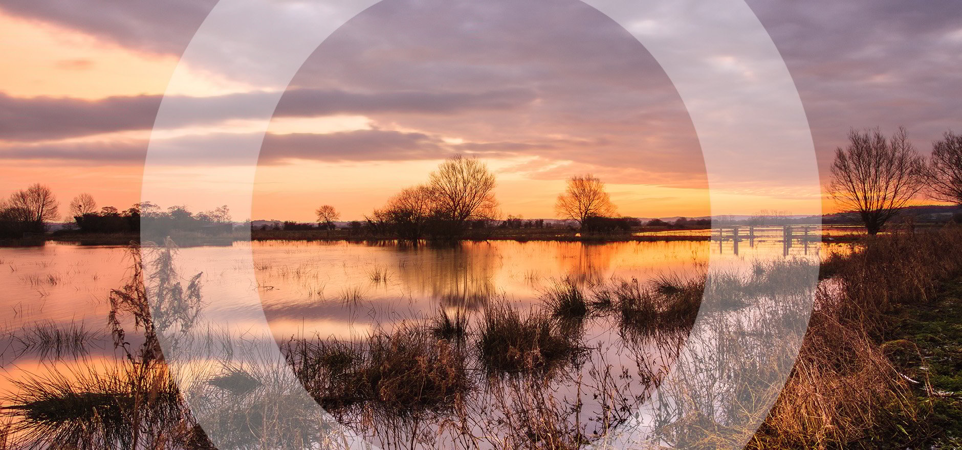 Dividing pensions fairly: what you need to know in divorce