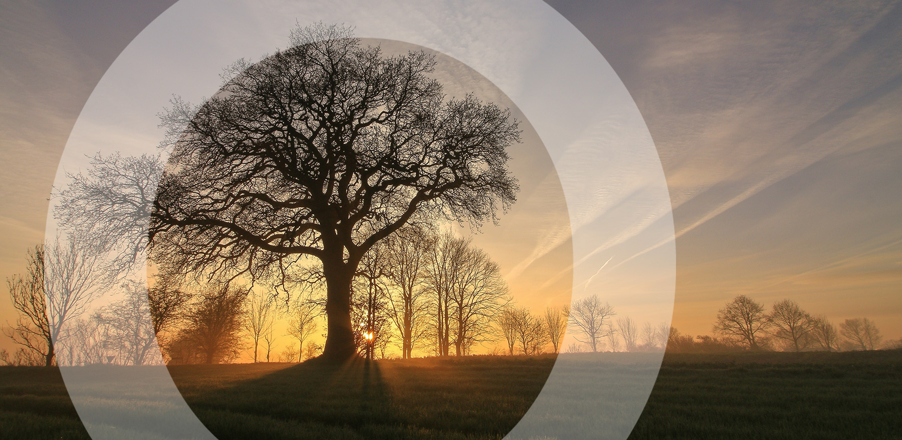 Ways To Challenge a Will - Lack of Testamentary Capacity