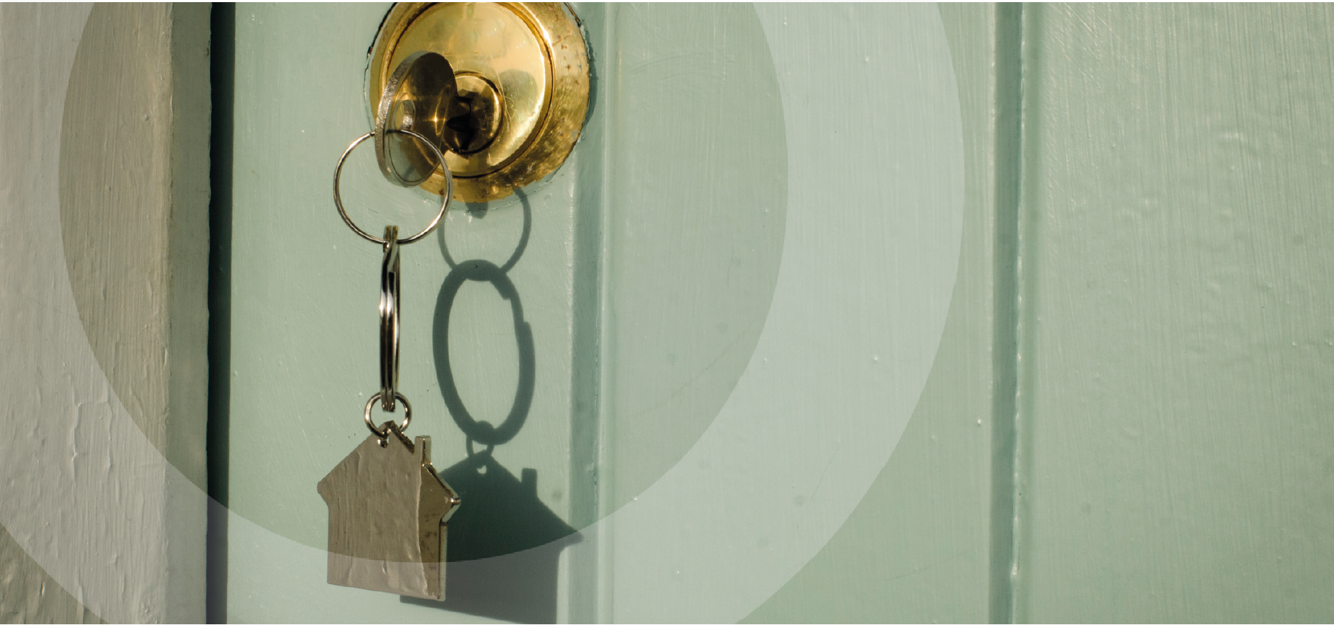 Home truths: What property searches reveal